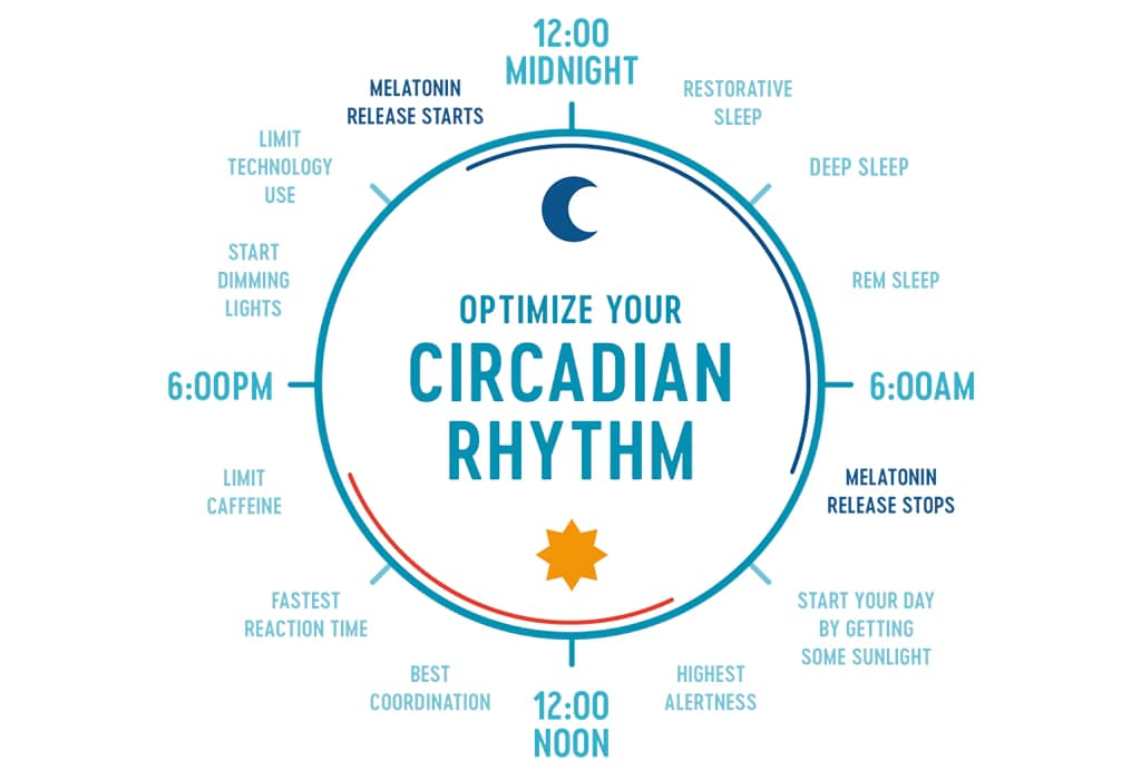 Circadian Rhythm